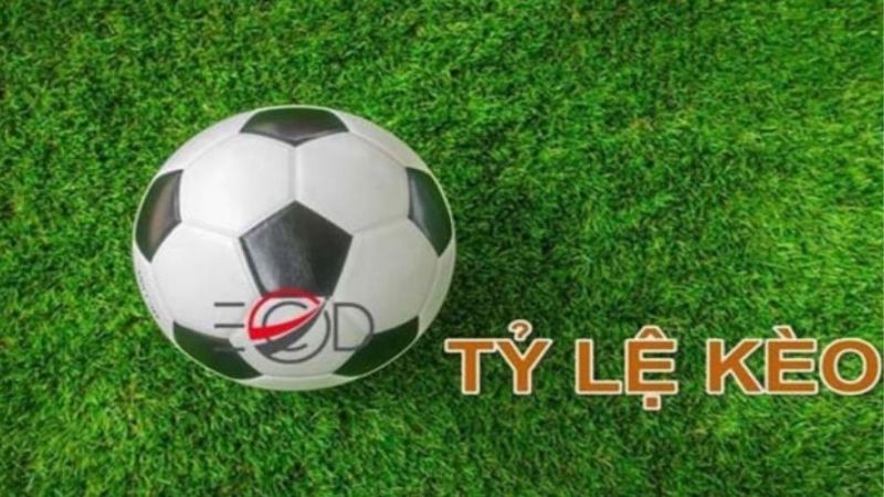 Cập Nhật Tỷ Lệ Kèo Nhà Cái Liên Tục Mới Nhất Hiện Nay