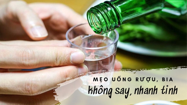 Các Bí Quyết Uống Bia Không Nhanh Say Trước Khi Nhập Cuộc