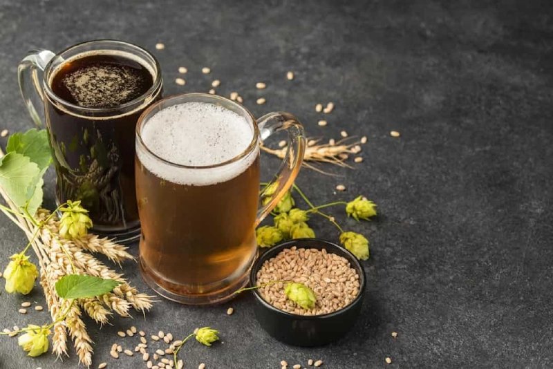 Giá trị dinh dưỡng toàn diện khác bên cạnh carbohydrate