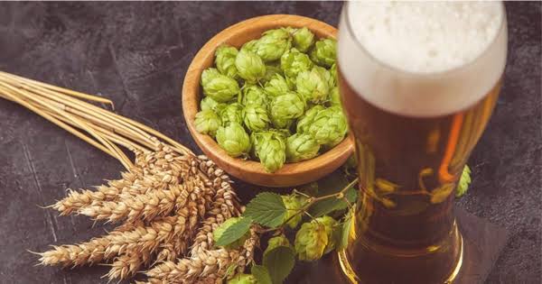So sánh chi tiết hương vị giữa bia tươi và bia craft