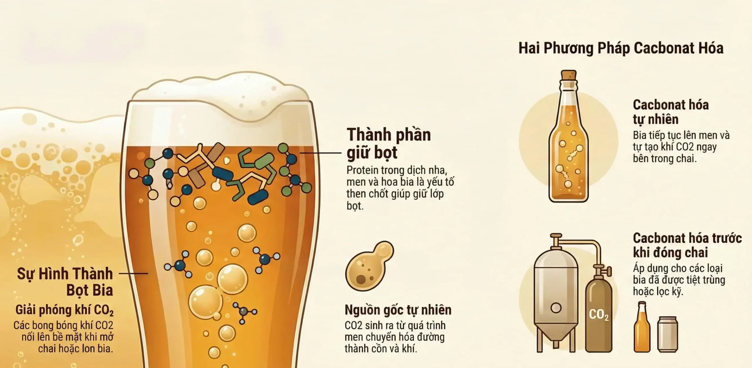 Nguồn gốc lịch sử và cách tính toán độ Plato